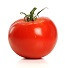 Hnojiva na rajčata a papriky