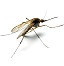 Insekticidy