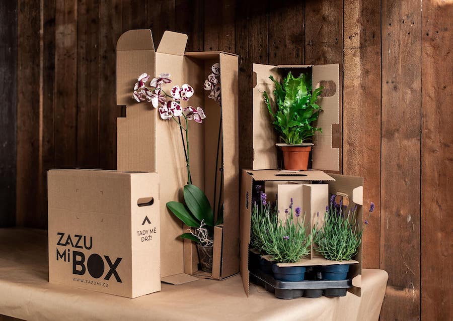 Odolné a přepravní krabice na rostliny a květiny ZAZUMi box