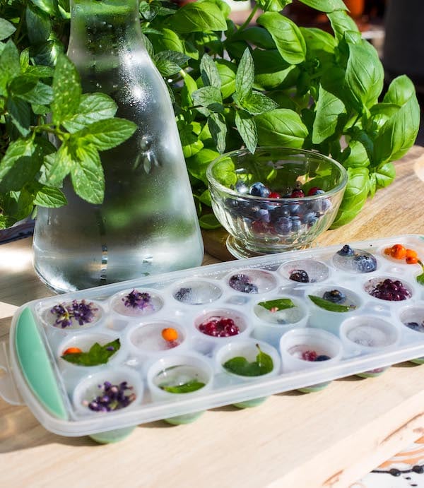 Ledové kostky s ovocem a bylinkami ochutí každý letní nápoj