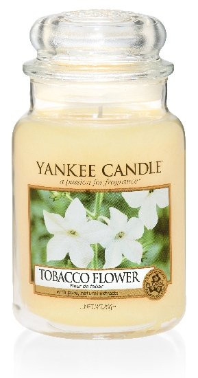 Aromatická svíčka, Yankee Candle Tobacco Flower, hoření až 150 hod-4815