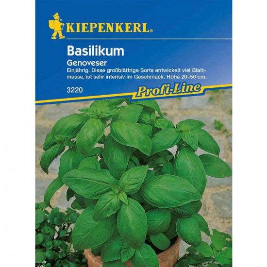 Bazalka širokolistá Genoveser, Kiepenkerl, semínka