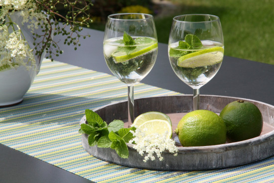 Bio Limeta kafrová, Citrus hystrix, v květináči-5635