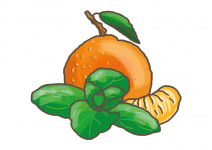 Bio Máta mandarinková, Mentha piperita Tachi, v květináči-2533