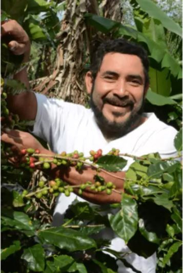 BIO tradičně pražená káva, Sonnentor Single Origin Nicaragua, zrnková, 250 g-5605