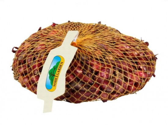 Červená cibule sazečka ozimá Rolein, Nohel Garden, 500 g