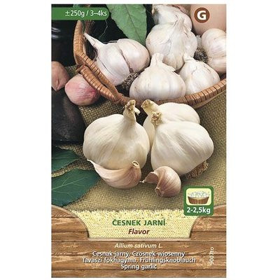Česnek jarní, sazečka Flavor, MoravoSeed, 250 g