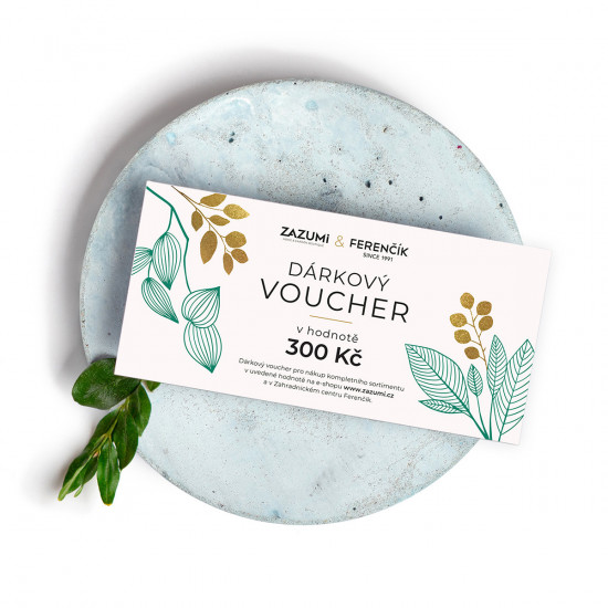 Dárkový voucher ZAZUMi a Ferenčík na 300 Kč
