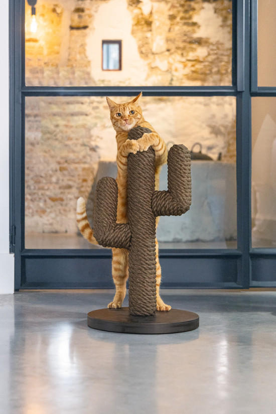 Dřevěné škrabadlo se sisálem, CACTUS, černé, 35 x 35 x 60 cm-28780