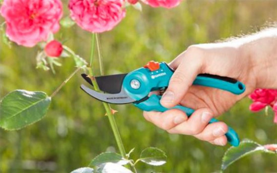 Dvoubřité zahradní nůžky Gardena CLASSIC B/S-M, nerezová ocel-9688