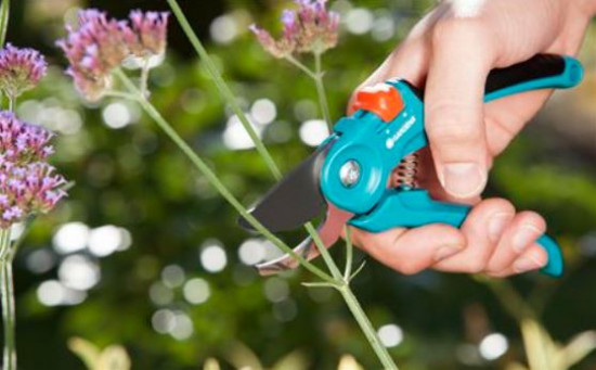 Dvoubřité zahradní nůžky Gardena CLASSIC B/S, nerezová ocel-9684