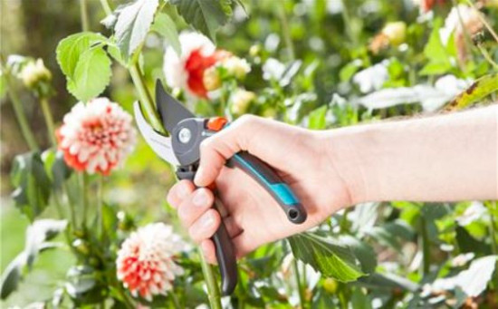 Dvoubřité zahradní nůžky Gardena COMFORT B/M, nerezová ocel-9686