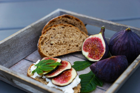 Fíkovník, Ficus carica Luckyberry, velikost kontejneru 4.6 l-28851