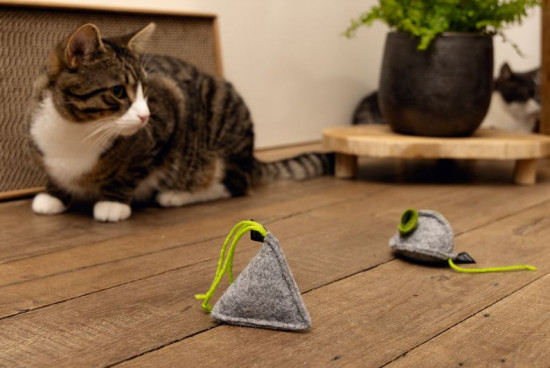 Filcová hračka pro kočky s šantou, pyramida MINUS ONE, 2 ks, hnědá a šedá, 7.5 cm-28039