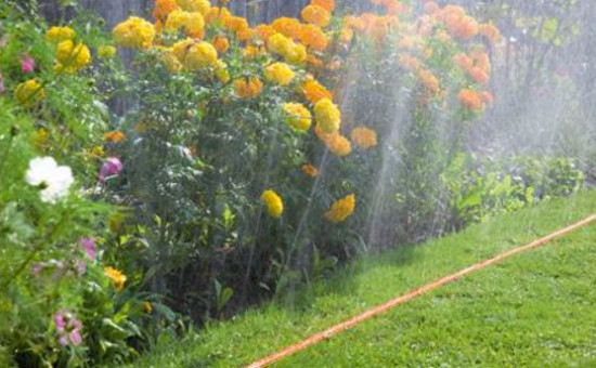 Hadicový zavlažovač Gardena, délka 15 m, oranžový-9552