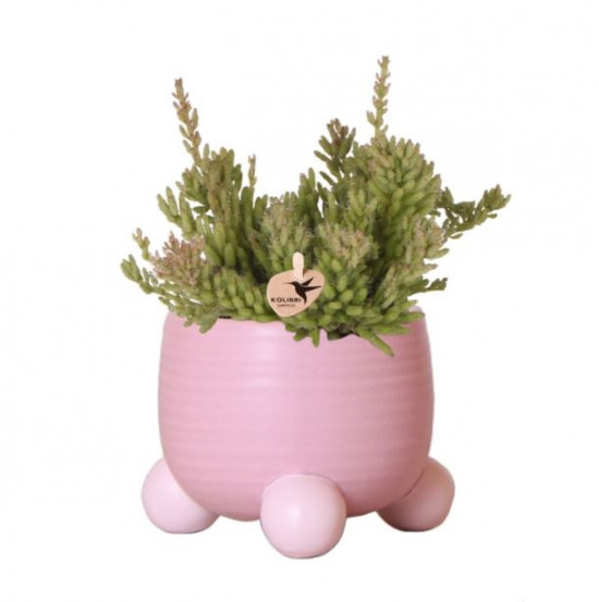 Keramický obal Kolibri Home Rolling, průměr 9 cm, růžový-26761