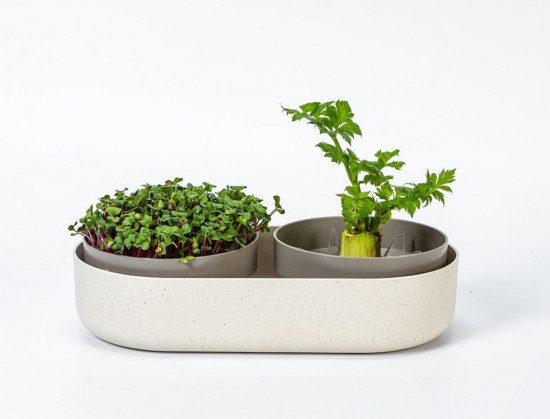 Miska na klíčení Microgreens Regrow, 30.5 x 16 x 7.5 cm, slonová kost-24453