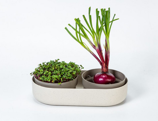 Miska na klíčení Microgreens Regrow, 30.5 x 16 x 7.5 cm, slonová kost-24454