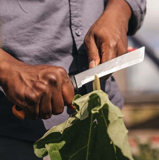 Nůž na sklizeň K82 Fiskars X-series-27719
