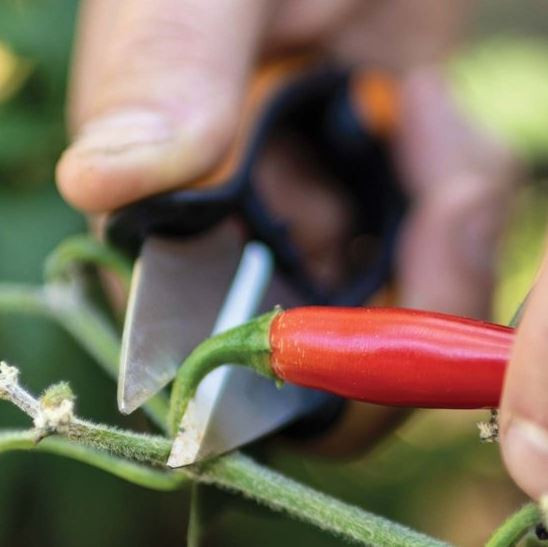 Nůžky na bylinky Fiskars SOLID, délka 13 cm-27710