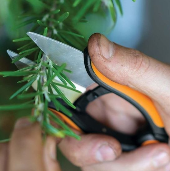 Nůžky na bylinky Fiskars SOLID, délka 13 cm-27711