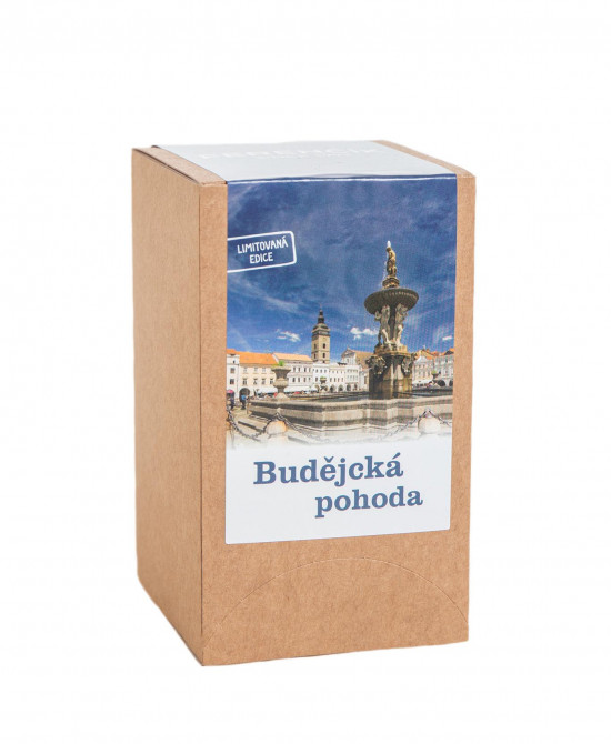 Ovocný čaj s bylinkami, Sonnentor Budějcká pohoda, porcovaný, 18 sáčků-15932