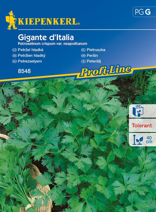 Petržel hladká Gigante d´Italia, Kiepenkerl, semínka