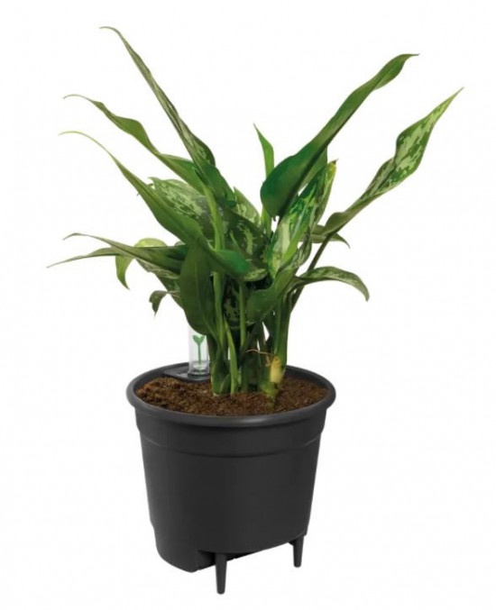 Plastová samozavlažovací vložka do květináče elho, průměr 17 cm, černá-6586