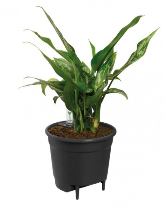Plastová samozavlažovací vložka do květináče elho, průměr 21 cm, černá-6589