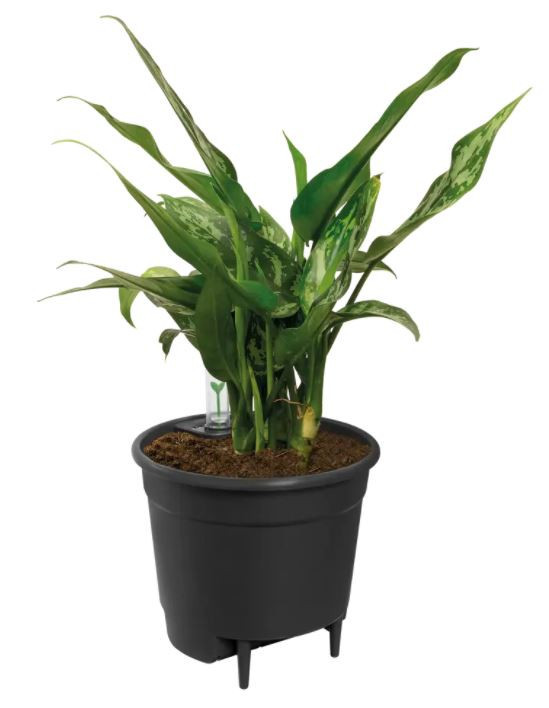 Plastová samozavlažovací vložka do květináče elho, průměr 24 cm, černá-6592