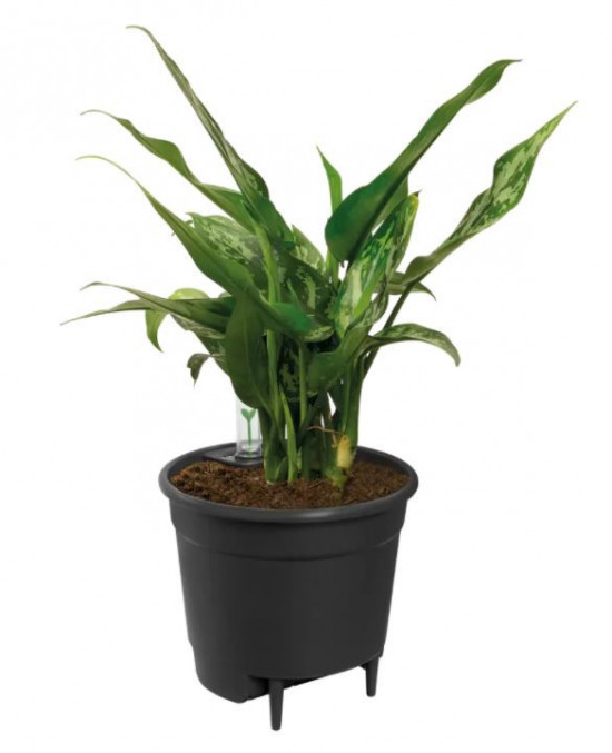 Plastová samozavlažovací vložka do květináče elho, průměr 28 cm, černá-6595
