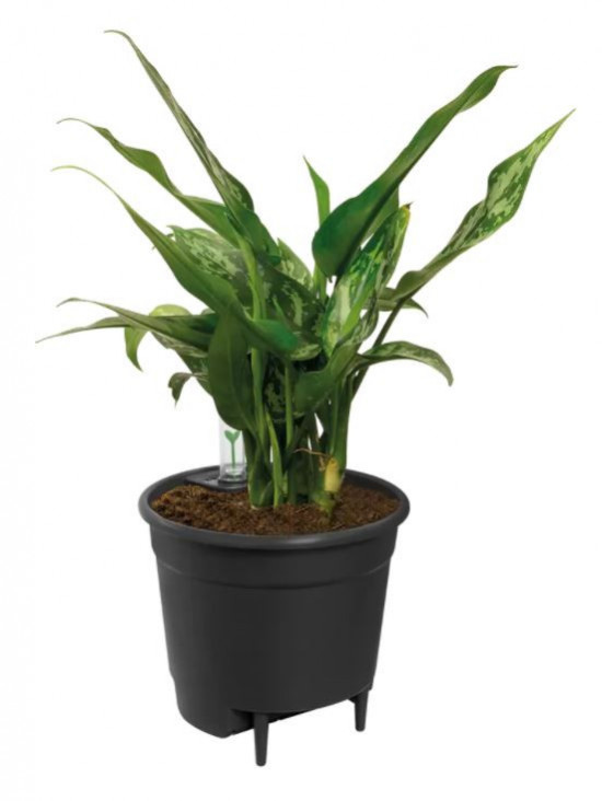 Plastová samozavlažovací vložka do květináče elho, průměr 33 cm, černá-6598