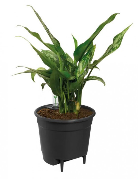 Plastová samozavlažovací vložka do květináče elho, průměr 36 cm, černá-6618