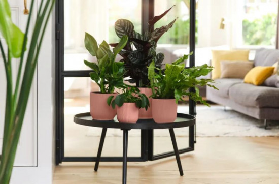 Plastový obal na květináč elho VIBES FOLD, průměr 11 cm, růžový-18418