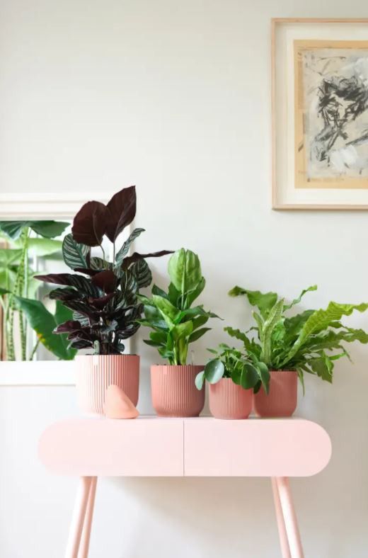 Plastový obal na květináč elho VIBES FOLD, průměr 14 cm, růžový-20603