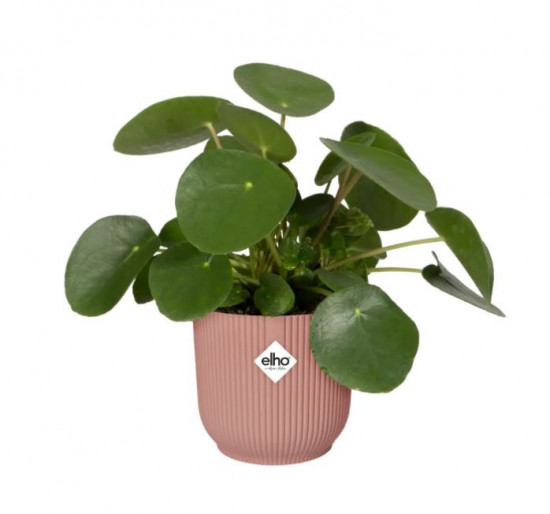 Plastový obal na květináč elho VIBES FOLD, průměr 9 cm, růžový-18402