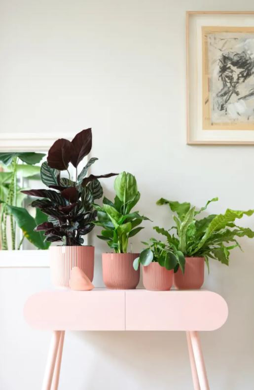 Plastový obal na květináč elho VIBES FOLD, průměr 9 cm, růžový-18404