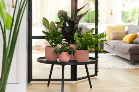 Plastový obal na květináč elho VIBES FOLD, průměr 9 cm, růžový-18405