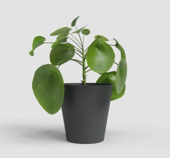 Plastový obal na květináč PORTO, průměr 14.3 cm, antracitový-27681