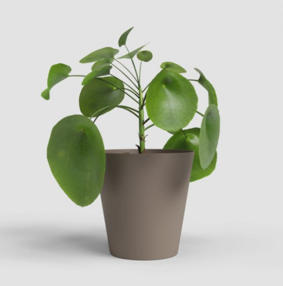 Plastový obal na květináč PORTO, průměr 14.3 cm, taupe-27683