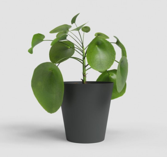 Plastový obal na květináč PORTO, průměr 16.3 cm, antracitový-27687