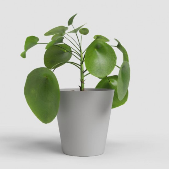 Plastový obal na květináč PORTO, průměr 16.3 cm, světle šedý-27691