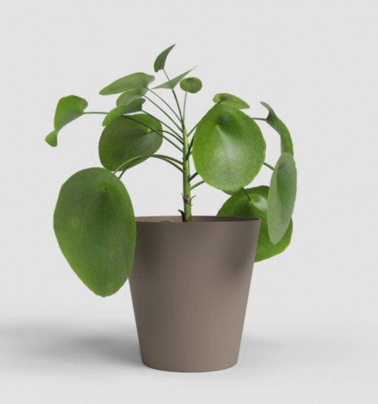 Plastový obal na květináč PORTO, průměr 16.3 cm, taupe-27689