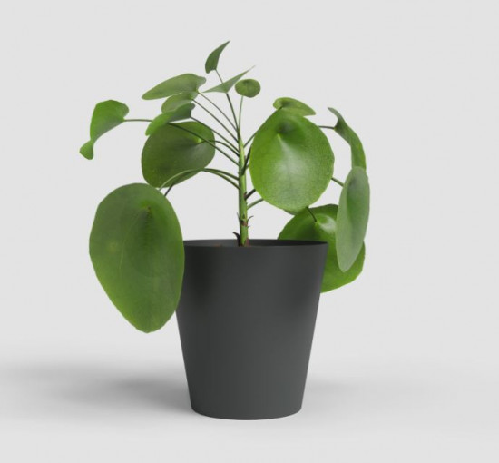 Plastový obal na květináč PORTO, průměr 18.3 cm, antracitový-27693