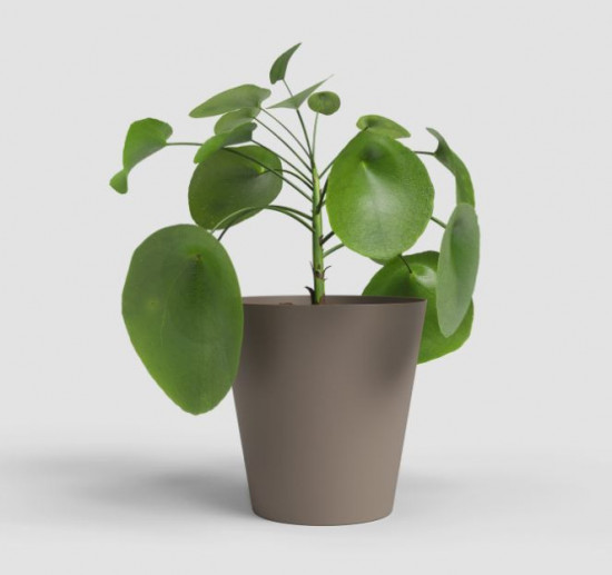 Plastový obal na květináč PORTO, průměr 18.3 cm, taupe-27695