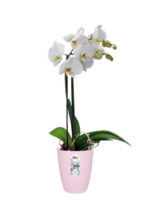 Plastový obal na květináč pro orchideje elho BRUSSELS HIGH, průměr 12.5 cm, světle růžový-18380