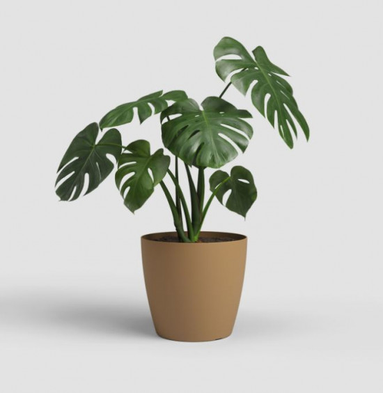 Plastový obal na květináč SAN REMO, průměr 12.7 cm, okrový-27564