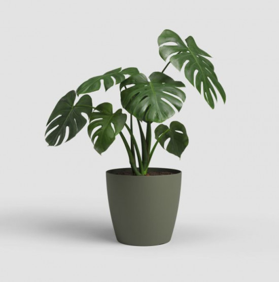 Plastový obal na květináč SAN REMO, průměr 12.7 cm, tmavě zelený-27565
