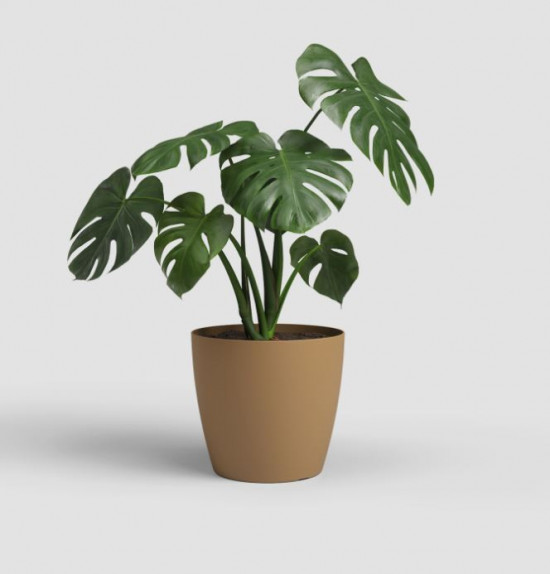 Plastový obal na květináč SAN REMO, průměr 14.3 cm, okrový-27595