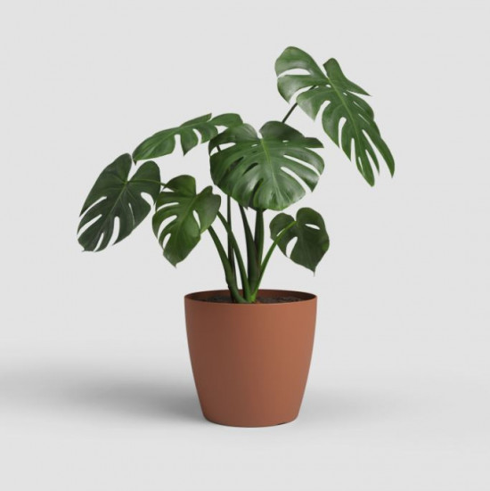 Plastový obal na květináč SAN REMO, průměr 14.3 cm, terakotový-27587